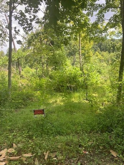 Land for sale in Hocking County, Ohio