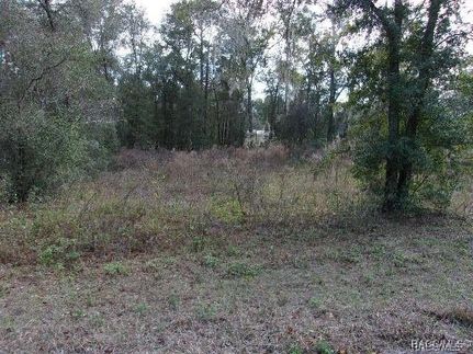 Homesite for sale in Citrus County, Florida
