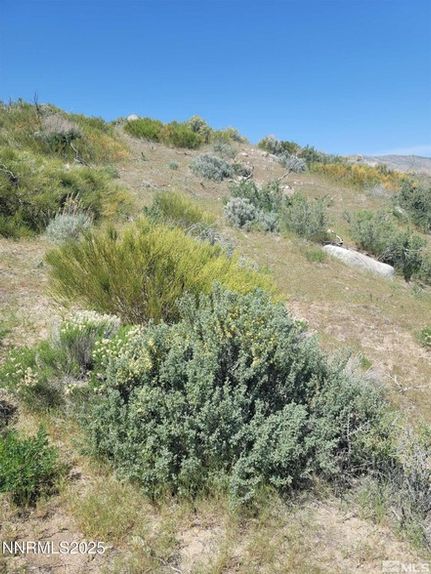 Land for sale in Washoe County, Nevada