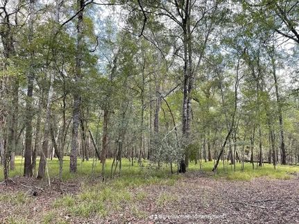 Land for sale in Liberty County, Texas