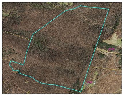 Land for sale in Alleghany County, Virginia