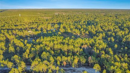 Undeveloped Land for sale in Volusia County, Florida