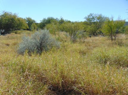 Homesite for sale in Kinney County, Texas