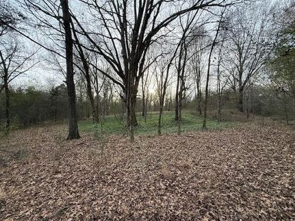 Land for sale in Fayette County, Tennessee