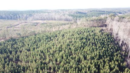 Land for sale in Tuscaloosa County, Alabama