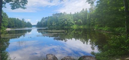 Timberland Property for sale in Hancock County, Maine