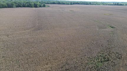 Land for sale in Davis County, Iowa