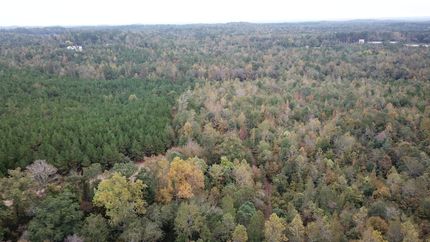 Land for sale in Greene County, Alabama