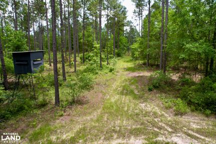 Land for sale in Dodge County, Georgia