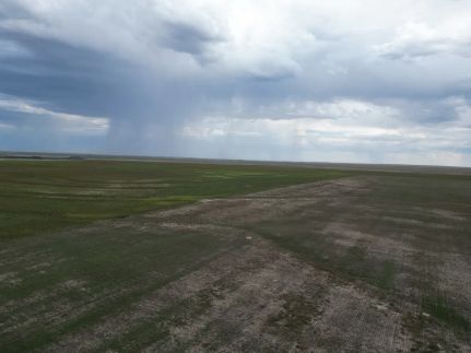 Farm and Ranch for sale in Kiowa County, Colorado