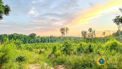 Land for sale in Hardeman County, Tennessee