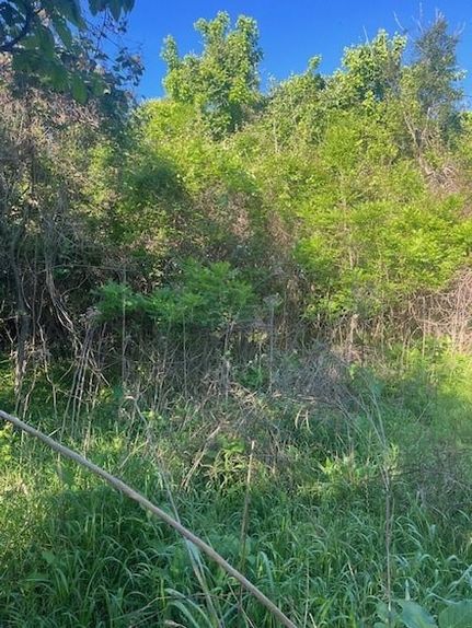 Land for sale in Bastrop County, Texas