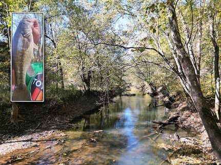 Land for sale in Gallia County, Ohio