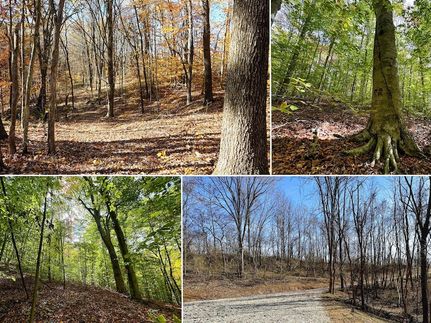 Land for sale in Perry County, Ohio