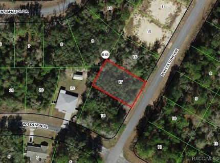 Undeveloped Land for sale in Citrus County, Florida