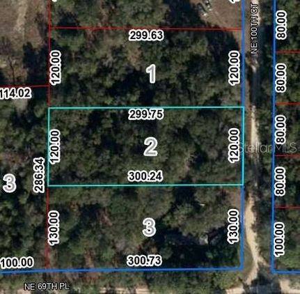 Land for sale in Levy County, Florida
