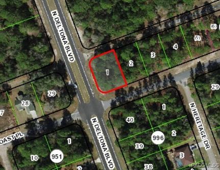 Land for sale in Citrus County, Florida