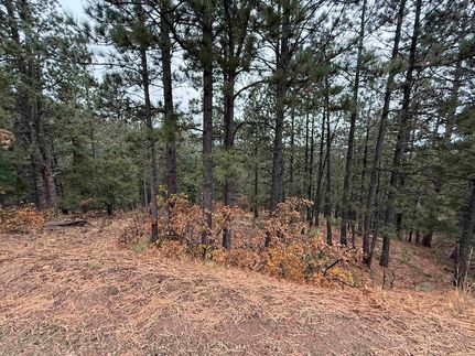 Land for sale in Colfax County, New Mexico