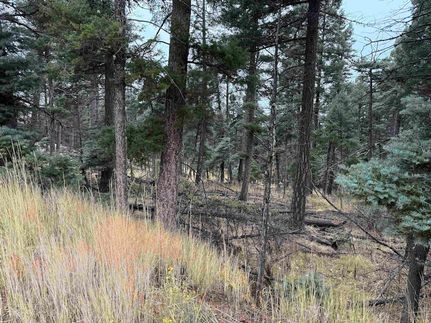 Land for sale in Colfax County, New Mexico