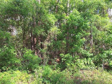Land for sale in Dixie County, Florida