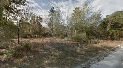 Land for sale in Levy County, Florida