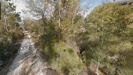 Land for sale in Levy County, Florida