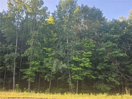 Land for sale in Burnett County, Wisconsin