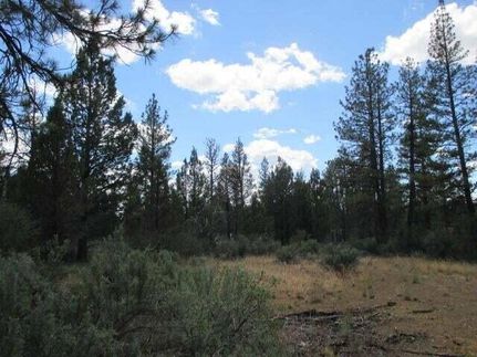 Homesite for sale in Klamath County, Oregon