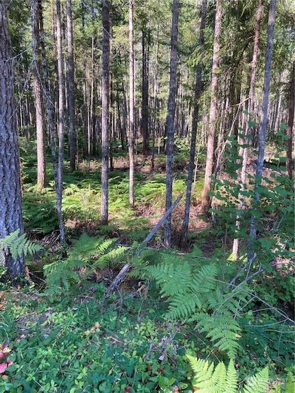 Land for sale in Mason County, Washington
