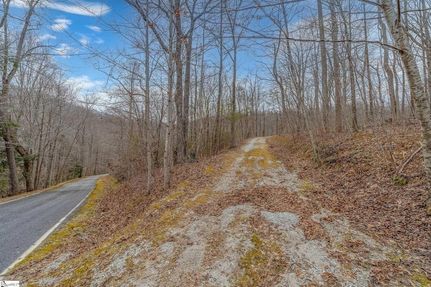 Land for sale in Greenville County, South Carolina