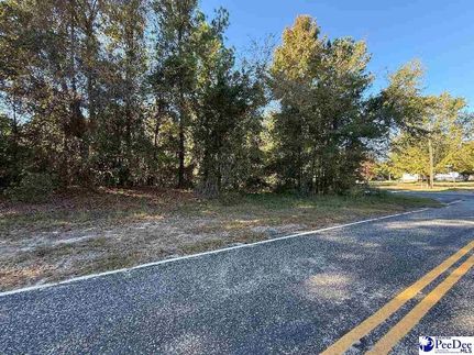 Land for sale in Chesterfield County, South Carolina