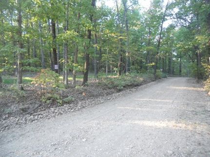 Land for sale in Newton County, Arkansas