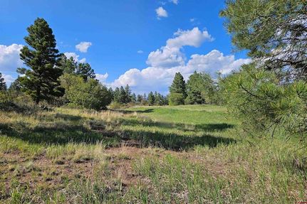 Homesite for sale in Archuleta County, Colorado