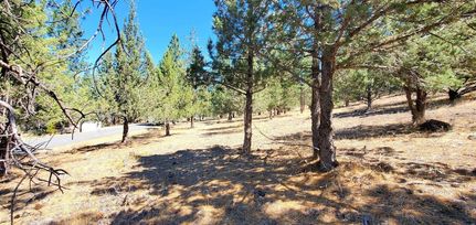 Land for sale in Siskiyou County, California