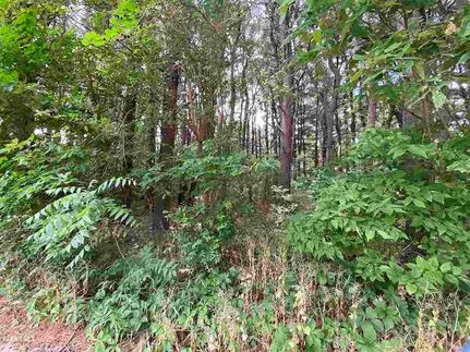 Homesite for sale in Carroll County, Illinois