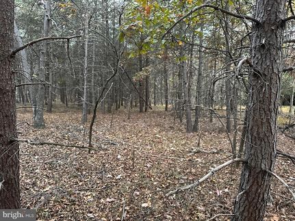 Land for sale in Morgan County, West Virginia