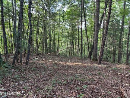 Land for sale in Scott County, Tennessee