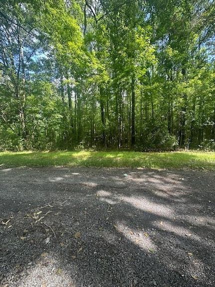 Land for sale in Berkeley County, South Carolina