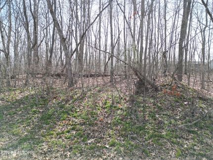 Homesite for sale in Cumberland County, Tennessee