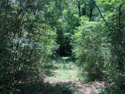 Land for sale in Walthall County, Mississippi