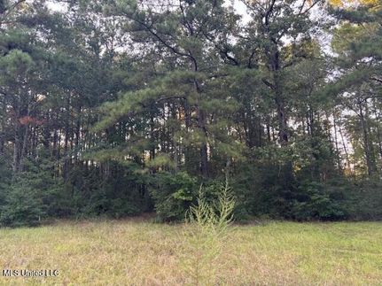 Land for sale in Pike County, Mississippi