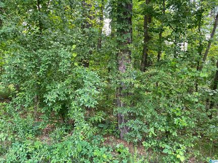 Land for sale in Tallapoosa County, Alabama