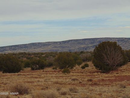 Land for sale in Apache County, Arizona