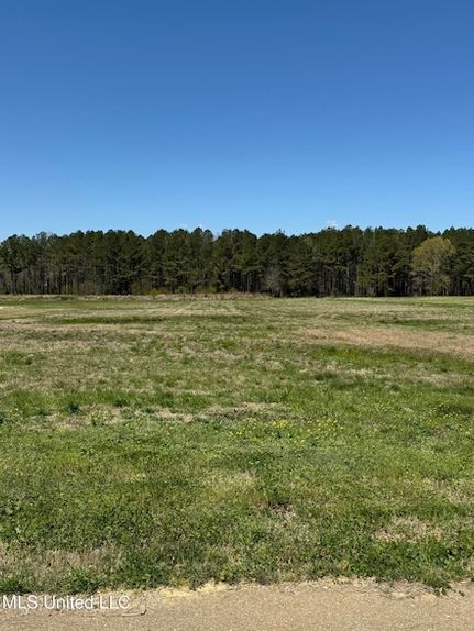Land for sale in Rankin County, Mississippi