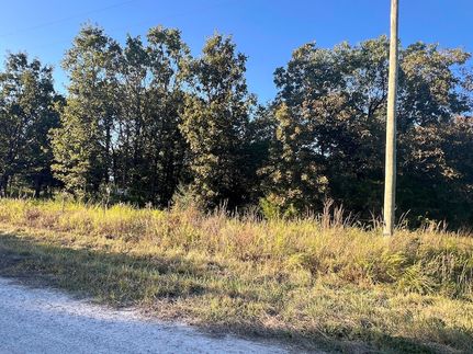 Land for sale in Webster County, Missouri