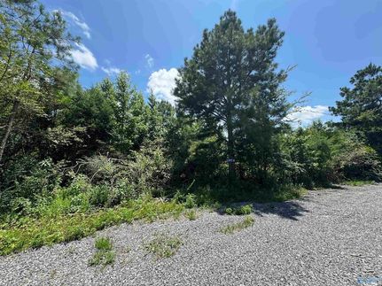 Land for sale in Marshall County, Alabama