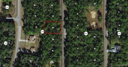 Land for sale in Citrus County, Florida