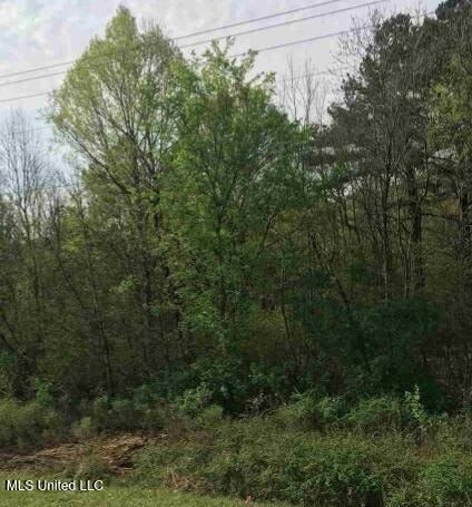 Land for sale in Hinds County, Mississippi
