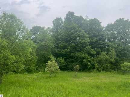 Land for sale in Kalkaska County, Michigan