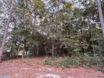 Homesite for sale in Decatur County, Georgia
